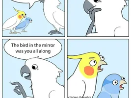 My bird is depressed