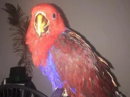 My new baby
