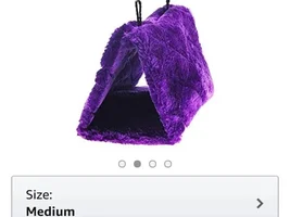 bird bed?