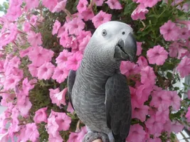 Hi There ! New member!!