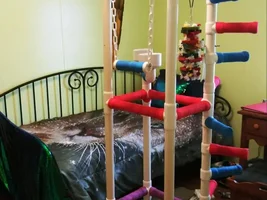 Progress and Questions for M