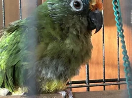 June Photo of the Month Contest