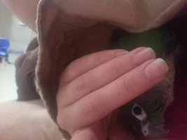 Love my little guy