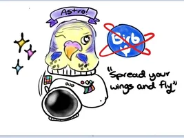 Budgie_Addicted's art gallary *TAKING REQUESTS*