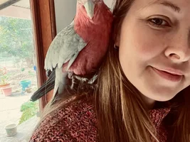 Hello! Galah advice and support please!