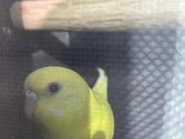 New baby!