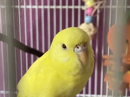 New baby!