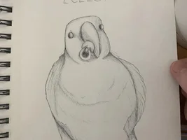 Psst! I can draw your birbs!