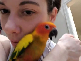 what is your favorite conure species and why?