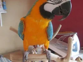 Hey there