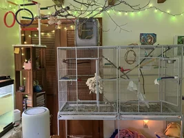Hello, I am back, and here are all the important bird updates!