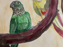 Looking for Parrots to Paint :D