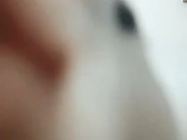 December 2022 POTM Contest