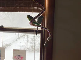 Buster and Chaplin Watching the Snow Fall