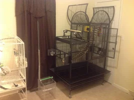 Unplanned Cage Purchase