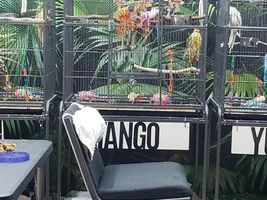 Cage setups