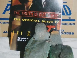 The X-Files twins
