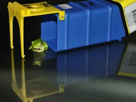 For Betrisher and others: The story of Grippers the frog