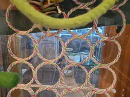 new toy ideas?