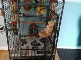 Some birdie is unimpressed with his deep clean and change around day!