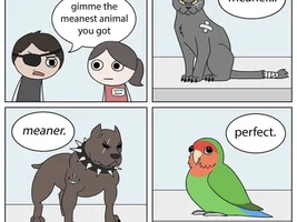 The best Bird meme!!