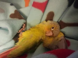 Hi :)