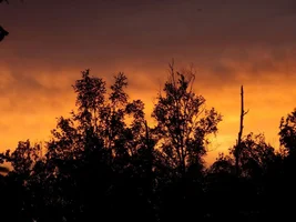 share your sunset photos!