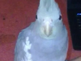 Look At Who Came Out Of His t All On His Own!