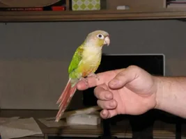 Just wanted to say hi. and introduce my new girl
