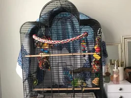 He refuses to go in his cage!