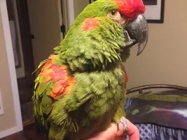 First time and a rescue. Got Q's