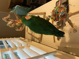 Sully Follow Up