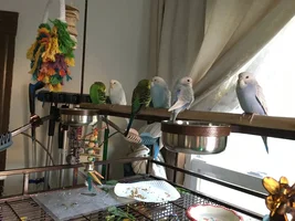 So I got her a nestbox....