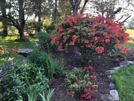 Outdoor spaces