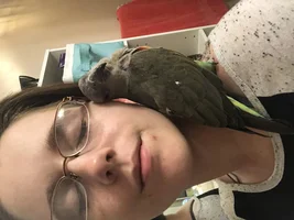 Looking for some advice on my new boy