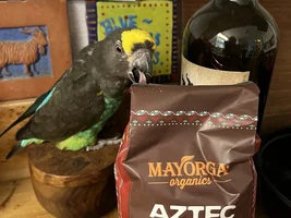 Still life with parrot. :)
