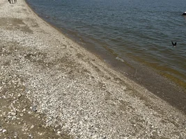 Trip to Gimli, Manitoba