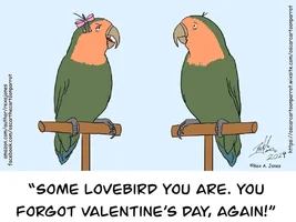 The best Bird meme!!