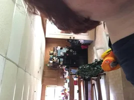 Progress after 3 1/2 months