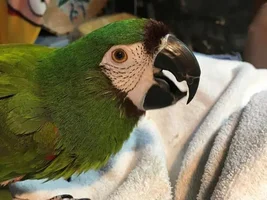 WakaWaka's Old Photo Album