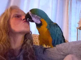 Leaving My Bird
