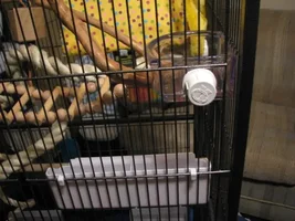 New Conures cage. A little pointers?