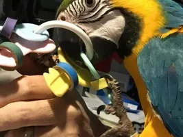 WakaWaka's Old Photo Album