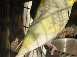 Hi hi!!