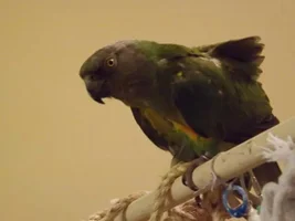 Pics of Jake