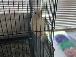 Flock Thread Volume 2