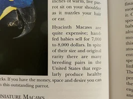 Parrot Books!