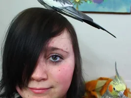 Share Portraits of You and Your Bird(s)