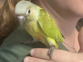 Taking requests!