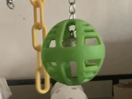 Close call with Cheddar
